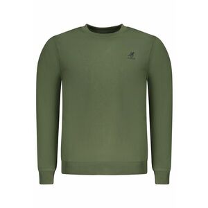 Hanorac simpla barbati cu logo brodat - regular fit - U.S. Grand POLO imagine