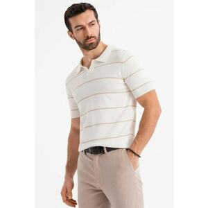 Tricou polo cu dungi imagine