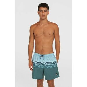 Pantaloni scurti de baie cu doua nuante Cali imagine
