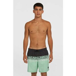 Pantaloni scurti de baie cu doua nuante Cali imagine