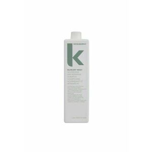 Sampon reparator pentru par Blow Dry Wash - 1000 ml imagine