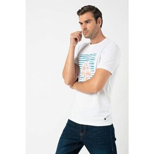 Tricou cu decolteu la baza gatului si imprimeu logo Alex 4 imagine