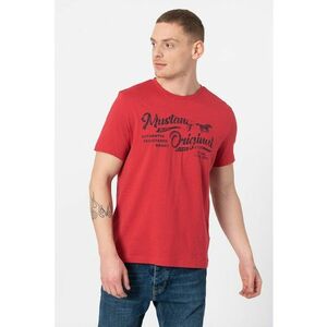 Tricou cu decolteu la baza gatului si imprimeu logo Alex 1 imagine