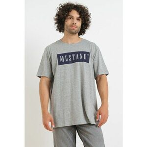 Tricou cu imprimeu logo Alex imagine
