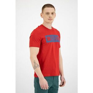 Tricou cu decolteu la baza gatului si imprimeu logo Alex imagine