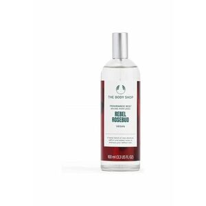 Spray pentru corp 100 ml imagine