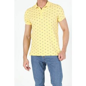 Tricou polo din bumbac cu imprimeu imagine