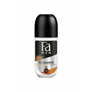 Deodorant roll-on anti-perspirant Men Sport - Barbati - 50 ml imagine