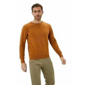 Hanorac barbati bumbac - maro - croiala regulata - maneca lunga - imagine