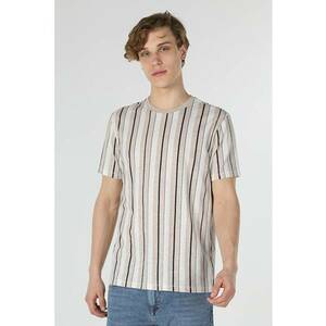 Tricou Cu Maneca Scurta De Barbati Bej Regular Fit 44851 imagine