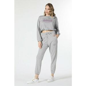 Pantaloni De Trening De Dama Gri Regular Fit imagine