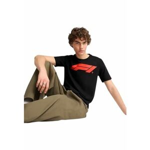 Tricou F1 Essentials Logo 46410 imagine
