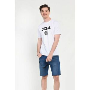 Tricou cu imprimeu logo Gayley imagine