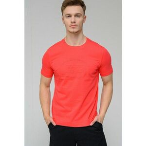 Tricou cu imprimeu logo Heritage imagine