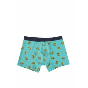 Lenjerie Intima De Barbati Verde Modern Fit CL1064211 imagine