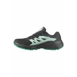 Pantofi trekking ALPHAGLIDE GORE-TEX L47802400 imagine