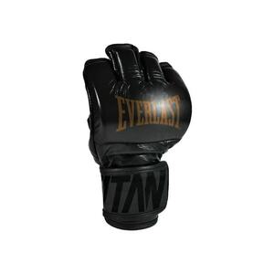 Manusi MMA Titan Pro - negru imagine