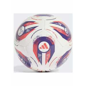 Minge de fotbal feminin Adidas Euro 2025 imagine
