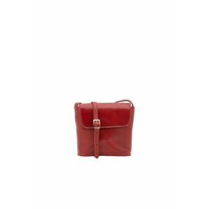 Geanta crossbody de piele imagine