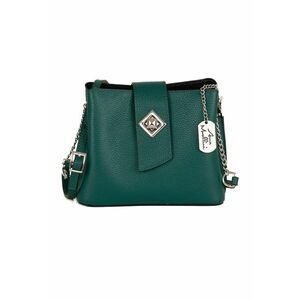 Geanta crossbody mica de piele cu logo imagine
