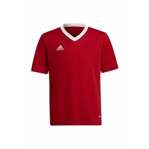 Tricou Jr Ent22 Jersey imagine