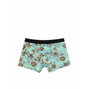 Lenjerie Intima De Barbati Multicolor Modern Fit CL1059215 imagine