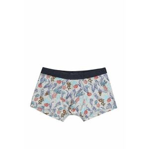 Lenjerie Intima De Barbati Multicolor Modern Fit CL1059219 imagine