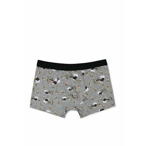Lenjerie Intima De Barbati Gri Modern Fit Cl1065392 imagine
