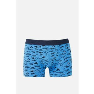 Lenjerie Intima De Barbati Albastru Modern Fit Cl1069351 imagine
