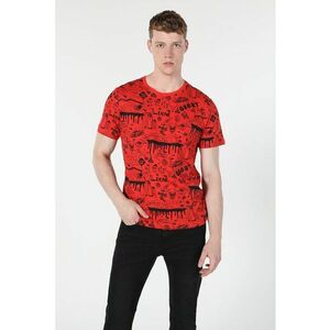 Tricou de bumbac cu imprimeu imagine