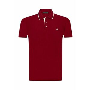 Tricou polo cu fenta cu nasturi 17729 imagine