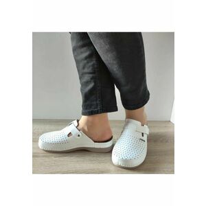Pantofi dama imagine