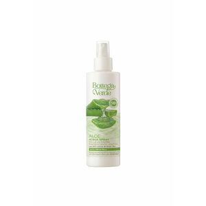 Spray Revigorant pentru Picioare cu 30% Suc de Aloe Vera Bio - Relaxare si Racorire Intensa pentru Picioare Obosite - Cu Ingrediente Naturale Derivate din Afine - Lamaie si Maces - Absorbtie Rapida si Aroma Revigoranta de Aloe Vera - 200 Ml imagine