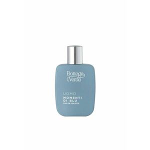 Apa de toaleta - fresh - cu extract de absint - Momenti di Blu - 50 ML - imagine
