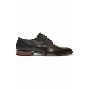 Pantofi barbati 304601613 - Piele naturala - Maro imagine