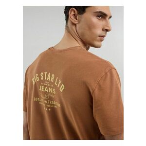 Tricou cu imprimeu pe stape Samuel imagine