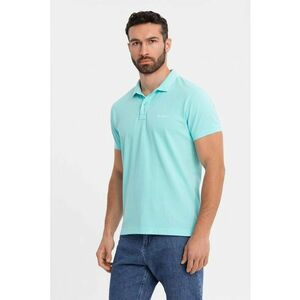 Tricou regular fit de bumbac cu guler polo imagine