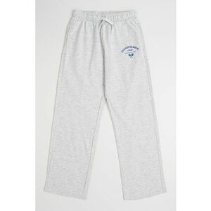 Pantaloni regular fit de trening din bumbac imagine