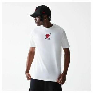 Chicago Bulls NBA CF Logo imagine