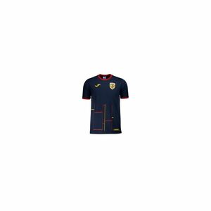 Tricou oficial de prezentare Romania imagine