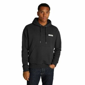 Hanorac Calvin Klein FADED LIGHT BACK GRAPHIC HOODIE imagine