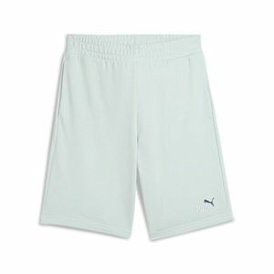 Sort Puma ESS 2 COLOR No. 1 Logo Shorts 10" TR imagine