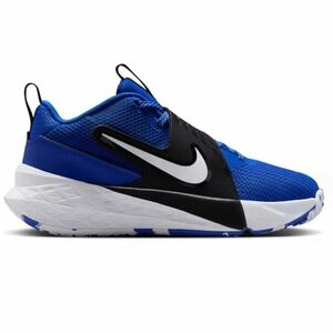 Pantofi sport Nike TEAM HUSTLE D 12 GS imagine