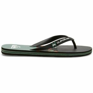 Quiksilver MOLOKAI STRIPE Șlapi pentru bărbați, negru, mărime 41 imagine