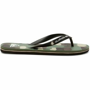 Quiksilver MOLOKAI ART II Șlapi pentru bărbați, mix, mărime 47 imagine