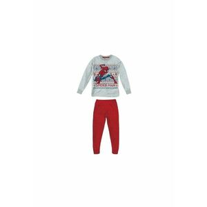 Bluza de bumbac Spider-Man imagine