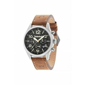 Ceas Barbati - Ashmont TBL15249JS02 imagine