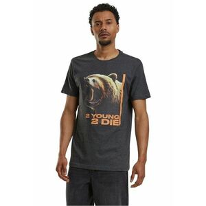 Tricou regular fit cu imprimeu imagine