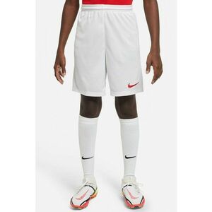 Pantaloni scurti cu tehnologie Dri-FIT pentru fotbal Park III imagine