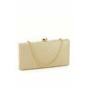 Geanta clutch cu sclipici BYH809 -06 Argintiu Argintiu imagine